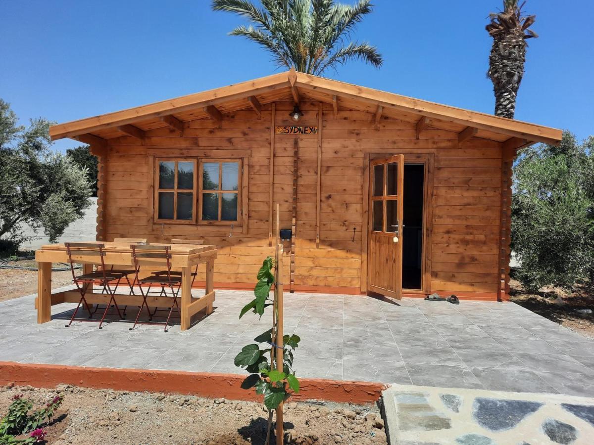Cyprus Glamping Park Hotel Agios Theodoros ภายนอก รูปภาพ